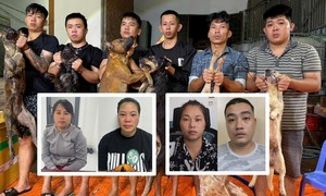 Video: Triệt phá băng trộm chó mèo chuyên nghiệp, thủ đoạn tinh vi, cung cấp thịt cho nhiều tỉnh, thành