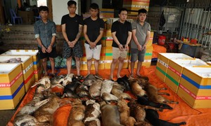 Công an TPHCM quyết liệt đấu tranh, bảo vệ tài sản của Nhân dân
