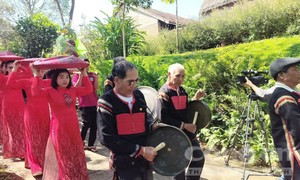 Xuân bình yên trên các tỉnh Tây Nguyên