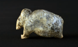 Phát hiện các biểu tượng có từ cách đây hơn 40.000 năm, nghi là tiền thân của chữ viết