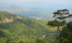 Đầu xuân du ngoạn qua cung đèo bác sĩ Alexandre Yersin từng đi