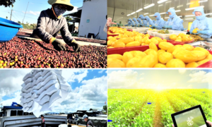 Xuất khẩu hàng hóa Việt Nam gặp thử thách trước bất ổn tại Trung Đông