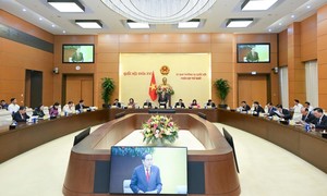 Xem xét Đề án thành lập 10 phường thuộc tỉnh Đồng Nai và thành lập thành phố Đồng Nai