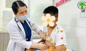 Salmonella enteritidis là tác nhân gây ngộ độc thực phẩm tại Trường Tiểu học Bình Quới Tây