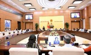 Đề nghị kéo dài thời gian áp dụng mức thuế ưu đãi đối với xe điện chạy bằng pin