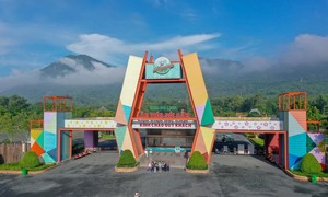 Lâm Viên Núi Cấm: "Khoang giảm áp" hoàn hảo cho hành trình chạm tới biển mây