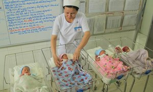 TP.HCM ban hành nhiều biện pháp giải quyết tình trạng mức sinh thấp