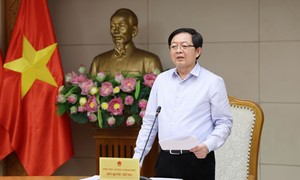 Thành lập Tổ công tác của Chính phủ về phát triển công nghệ chiến lược