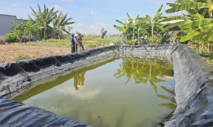 Kỳ 2: Thách thức an ninh nguồn nước