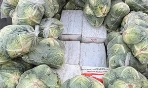 Thái Lan bắt giữ 1,6 tấn ma túy giấu trong xe ô tô chở rau bắp cải