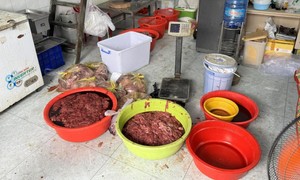 Công an TPHCM triệt phá cơ sở sản xuất, buôn bán thịt bò giả, thịt bò chứa chất cấm, bắt giam 2 bị can