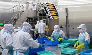Bài 3: Nếu không chảy vào bất động sản, dòng tiền sẽ đi về đâu để tăng trưởng?