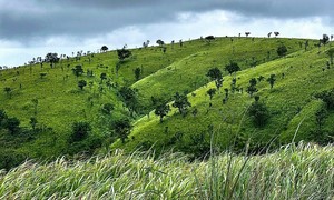 Truy bắt nghi phạm nổ súng khiến 1 người tử vong rồi bỏ trốn vào rừng