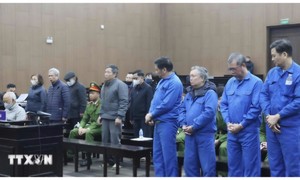 Nhiều bị cáo trong vụ án xảy ra tại Tổng công ty Ximăng Việt Nam được giảm án