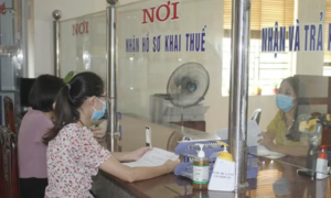 Thuế TPHCM đặt mục tiêu thu nội địa 'kỷ lục' 800.000 tỷ đồng trong năm 2026