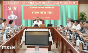 Nguyên Phó Tổng Giám đốc Tổng Công ty Cảng hàng không Đỗ Tất Bình bị khai trừ Đảng