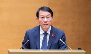 Sẽ có cơ chế xem xét kỹ động cơ, mục đích, bối cảnh, hậu quả của vi phạm pháp luật để xử lý phù hợp