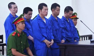 Tranh chấp vườn cao su, 4 anh em ruột cùng lãnh án