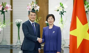 Đề nghị AIIB hỗ trợ Việt Nam triển khai các dự án hạ tầng quy mô lớn, có tính lan tỏa cao