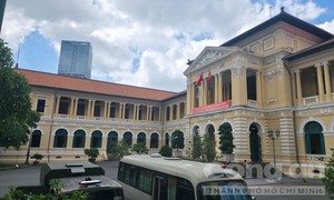 Hệ lụy từ hợp đồng giả cách