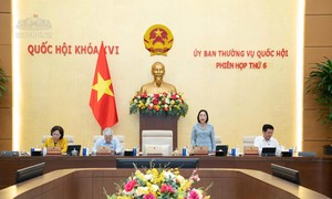 Đề nghị cấm thuốc lá điện tử, thuốc lá nung nóng từ ngày 01/5/2027