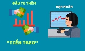 Tìm người có giao dịch, liên quan đến Công ty TNHH TVĐT Capital Clearance Việt Nam