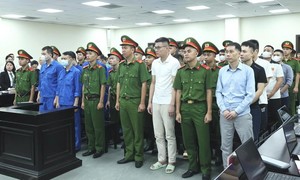 Xét xử 29 bị cáo trong đường dây sản xuất, buôn bán sữa giả doanh thu ngàn tỷ