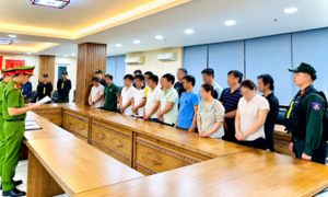 Đà Nẵng: Khởi tố 17 cán bộ, nhân viên “nhúng chàm”, nhận hối lộ