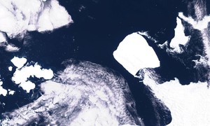 “Tảng băng trôi” lớn nhất thế giới đang tăng tốc dịch chuyển