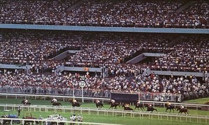 Singapore tổ chức giải đua ngựa cuối cùng sau hơn 180 năm