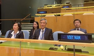 Việt Nam hoàn thành xuất sắc nhiệm kỳ Phó Chủ tịch Đại hội đồng LHQ