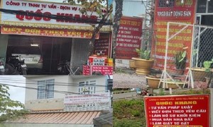 Vĩnh Long: Nhiều địa điểm có dấu hiệu "núp bóng" tổ chức hành nghề luật