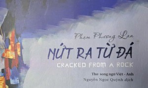 Những câu thơ “Nứt ra từ đá”