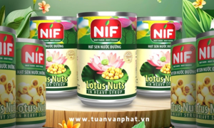 Thương hiệu NIF được Cục Sở hữu Trí tuệ Việt Nam cấp văn bằng bảo hộ độc quyền