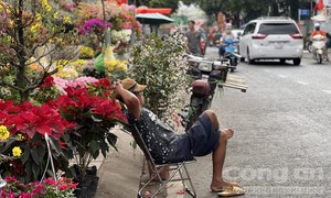 Không khí mua bán ảm đạm tại nhiều chợ hoa xuân ở TPHCM