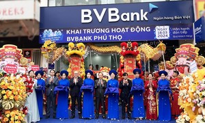 BVBank liên tiếp khai trương 2 đơn vị mới tại Phú Thọ và Hà Tĩnh