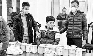 Phá đường dây đưa ma túy từ châu Âu về Việt Nam với số lượng lớn