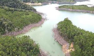 Thủy điện tích nước làm chết 25 héc-ta rừng: 15 cán bộ bị đề nghị xử lý