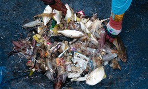Cuộc chiến tái chế rác thải nhựa ở Indonesia