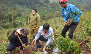 Ngân hàng An Bình gây quỹ trồng rừng cho bà con Quảng Bình
