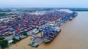 Quy hoạch cảng biển TP.Hồ Chí Minh thành cảng đặc biệt