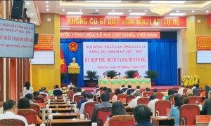 Bãi nhiệm chức vụ Trưởng ban Dân tộc HĐND tỉnh Gia Lai đối với bà Đinh Thị Giang