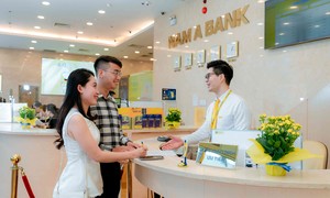 Năm 2024, Nam A Bank giữ đà tăng trưởng ổn định và quản trị rủi ro hiệu quả