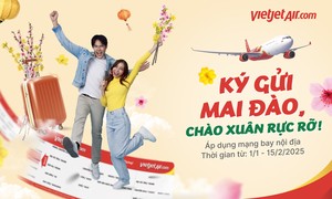 Vietjet mang sắc xuân đến muôn nơi, triển khai dịch vụ vận chuyển mai, đào Tết 2025