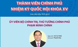 Bộ máy Chính phủ nhiệm kỳ 2021-2026 sau sắp xếp, tinh gọn