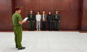 Khởi tố "nguồn cung" thực phẩm giảm cân chứa chất cấm cho Võ Thị Ngọc Ngân (Ngân 98)