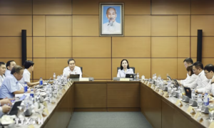 Chống thông đồng, dìm giá, "quân xanh, quân đỏ" và bỏ cọc trong đấu giá tài sản