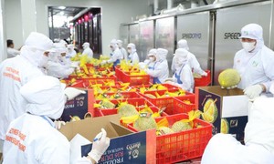 Truy xuất nguồn gốc - "hộ chiếu" để hàng Việt đi xa
