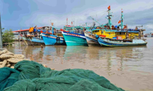 Chuyển hồ sơ các vụ việc vi phạm khai thác IUU ở Cà Mau sang Bộ Công an