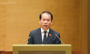 Đề xuất đấu giá quyền sử dụng khu vực biển để tăng tính công khai, minh bạch và cạnh tranh